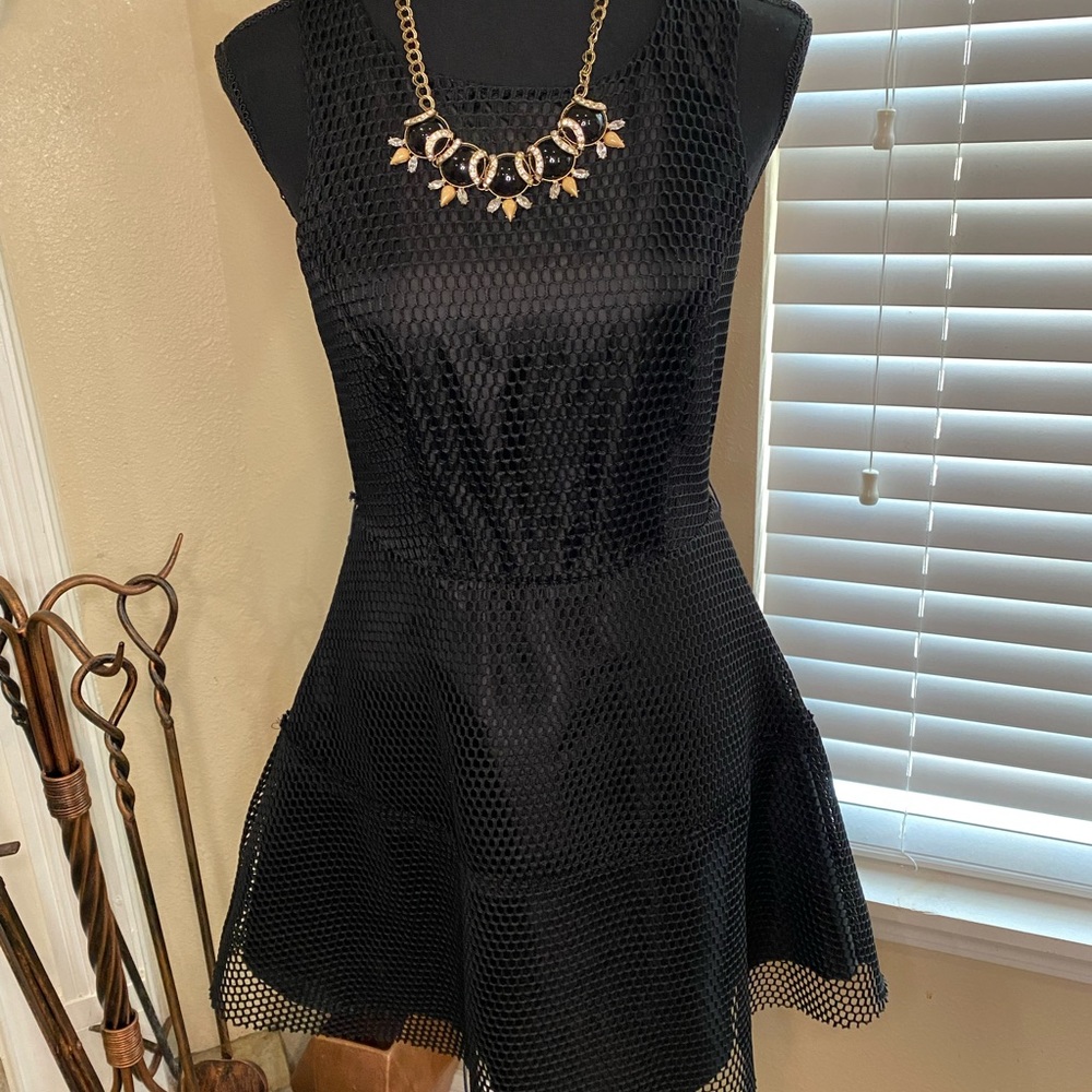 Finn & Clover Black Netted Overlay Skater Dress - Picture 7 of 7